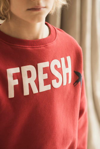 Vuurrode jongenssweater van Jenest met subtiele vogelprint | Jenest - Fresh Sweater Fire Red | Verkrijgbaar bij Little Fashion Addict