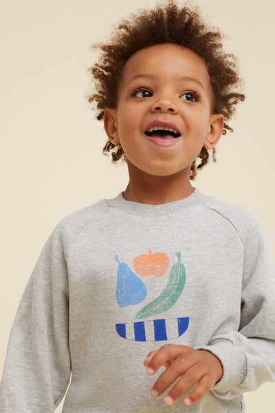 Jongenssweater in het grijs met fruitprint van Sproet & Sprout | Verkrijgbaar bij Little Fashion Addict