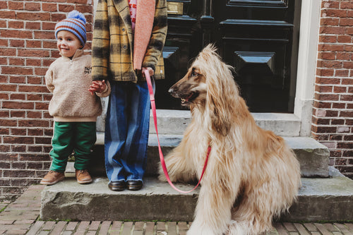 Zachte ivoorkleurige Teddy Anorak Sweatshirt voor meisjes en jongens van Sproet & Sprout. | Verkrijgbaar voor kids van 4 tot 10 jaar bij Little Fashion Addict